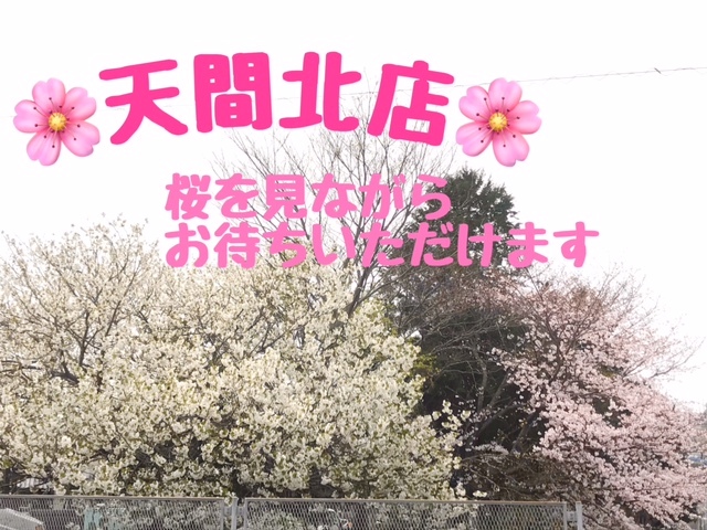 [天間北店] 🌸特等席😊