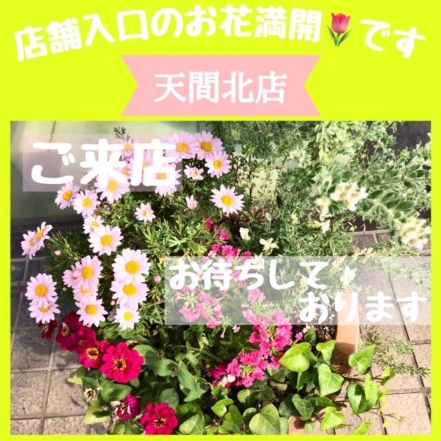 [天間北店] 🌷すてきなセンス🌷