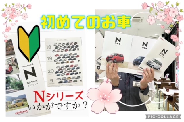 🌸Ｎシリーズ🔰