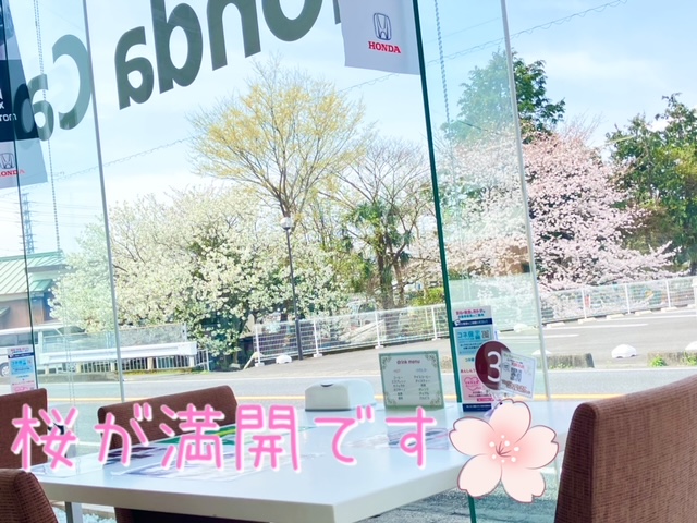 🌸さくらの季節🌸