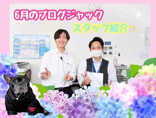 🙋‍♂️スタッフ紹介✨