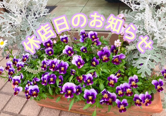 ＧＷ休店日のお知らせ