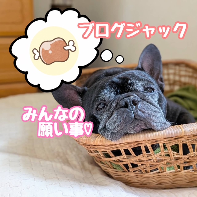 🌈ブログジャック🌈