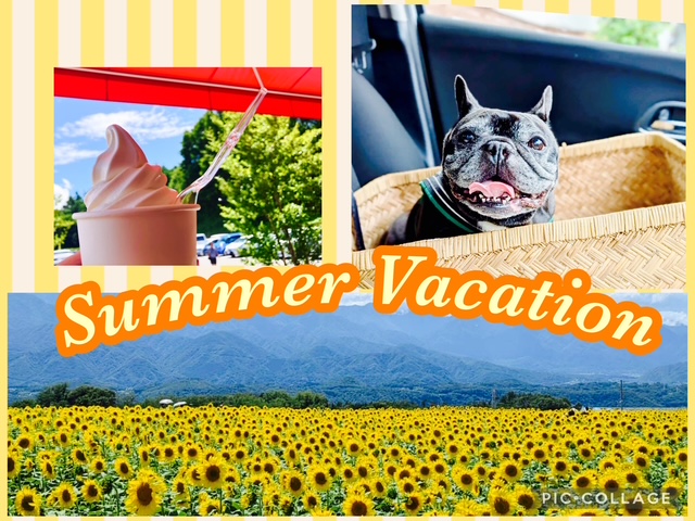 🌻ブログジャック🍉