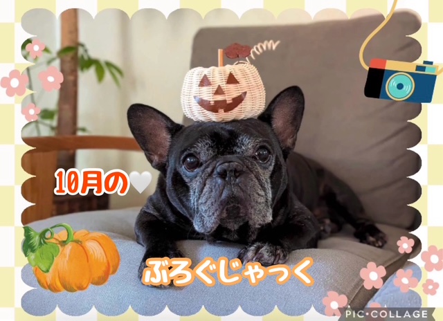 🎃ブログジャック🎃🧡