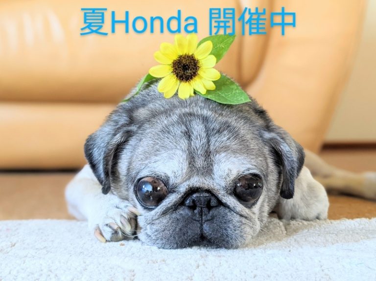 [天間北店] 8月ですね