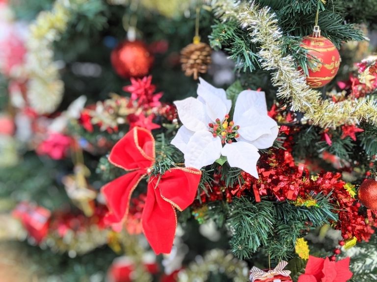 [天間北店] クリスマスツリーを出しましたよ