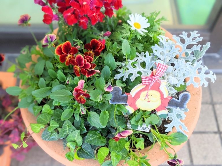 [天間北店] お花を植え替えてみました
