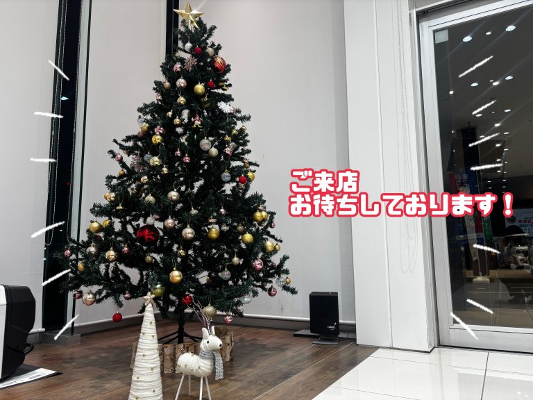 今年もこの季節が…🎅🎄🤍