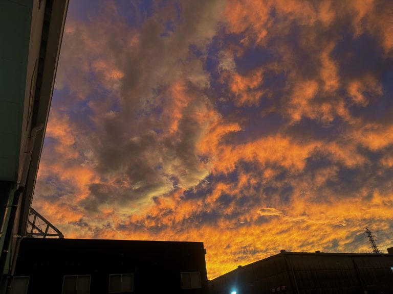 緑の雲？🍀