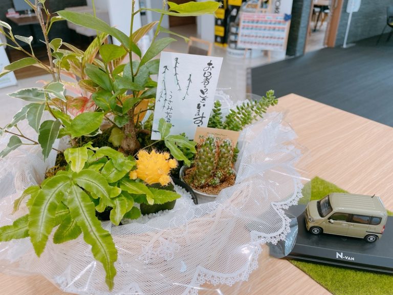 [清水吉川店] お花🌼🌼🌼