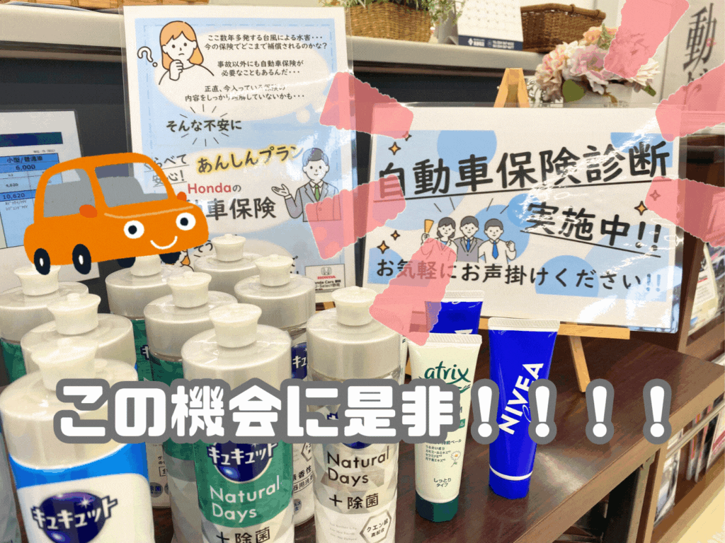 自動車保険診断🚗