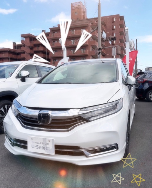 店長おすすめのくるま☆