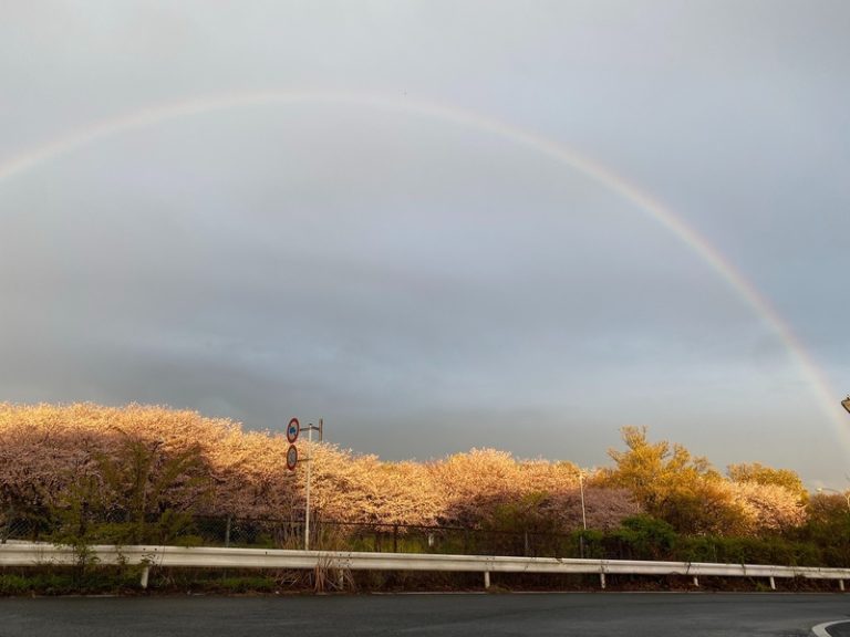 [U-Select静岡] HAPPY Spring★