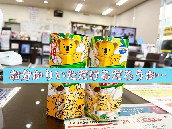 [U-Select沼津東] お分かりいただけるだろうか・・・🐨