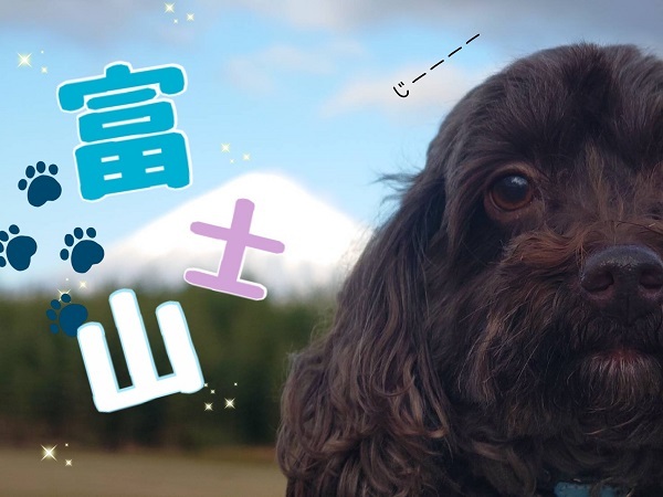 [U-Select沼津東] 🐶FUJISAN×BLANC🐾