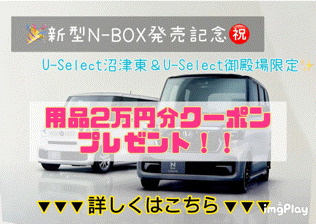 🎉新型N-BOX発売記念🎉