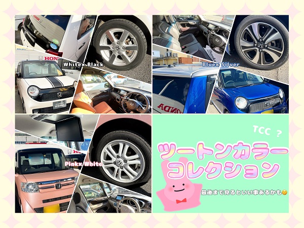 新春！ツートンカラーコレクション🚘