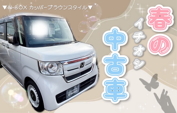 春のイチオシ中古車情報🌷