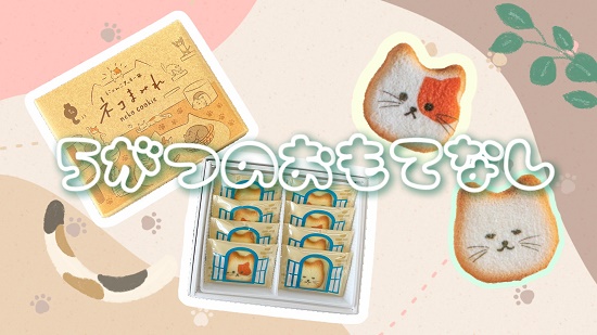 🐱5月のおもてなし🐱