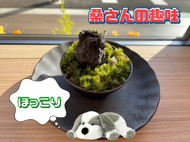 日常、、🌱