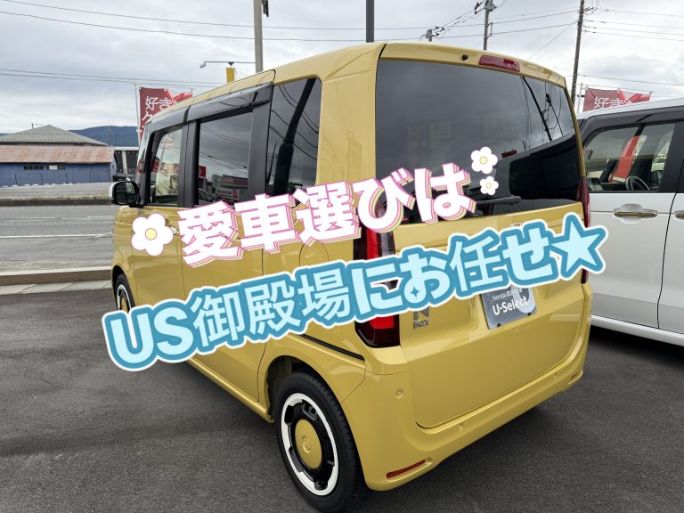 9月は決算！！