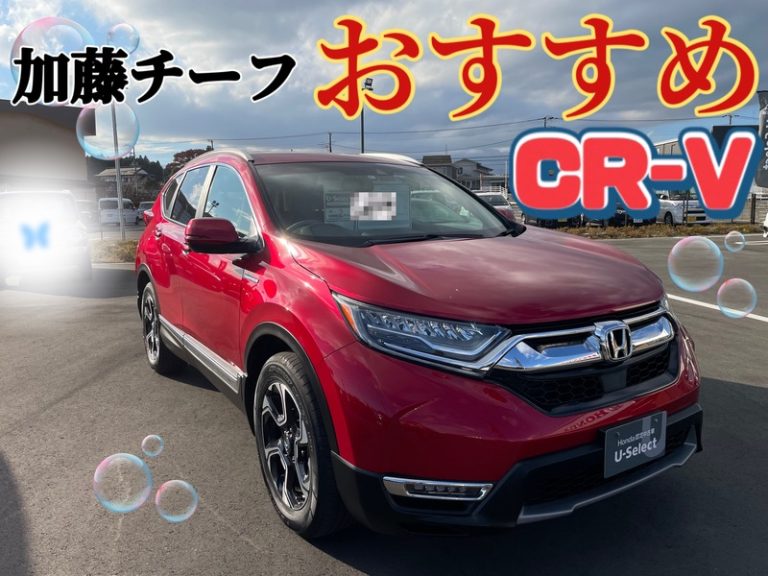 [U-Select御殿場] カトウおすすめ