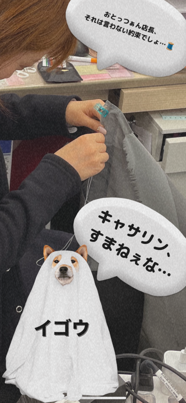 [U-Select御殿場] むか〜しむか〜しあるところに