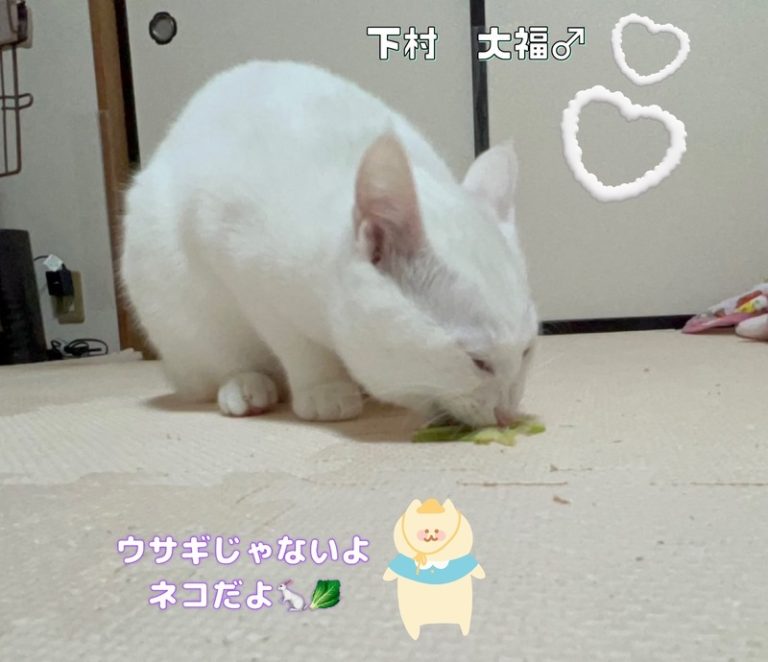 [U-Select御殿場] プレゼントあります！！