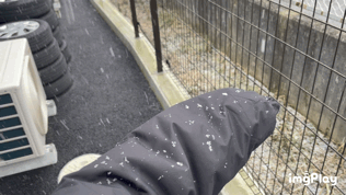 [U-Select御殿場] 雪だるま待ち☃