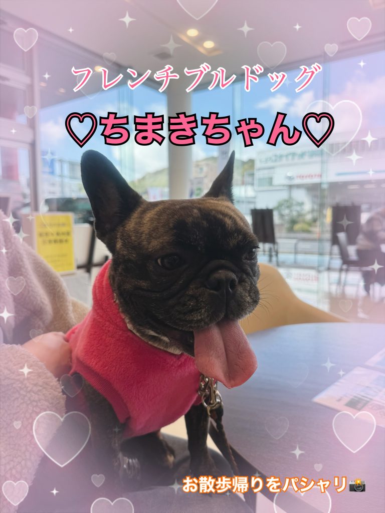 ワンちゃん紹介🐶