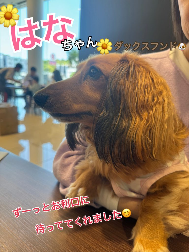 ご納車おめでとうございます🐶