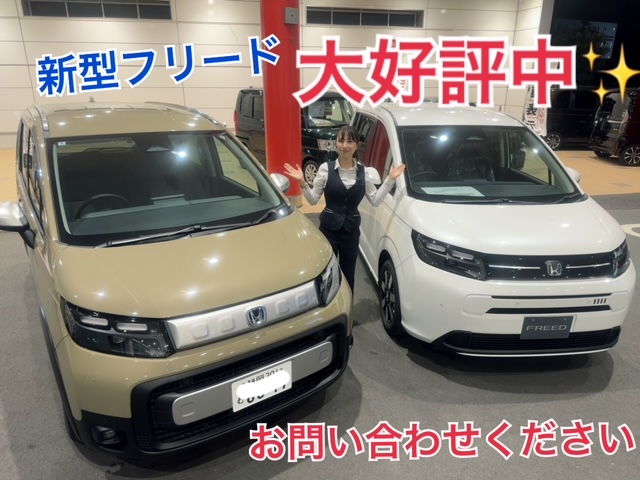 フリード大好評中