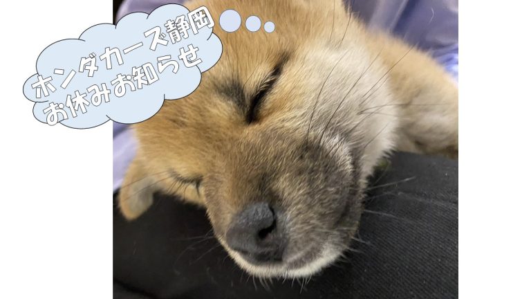お休みのお知らせ