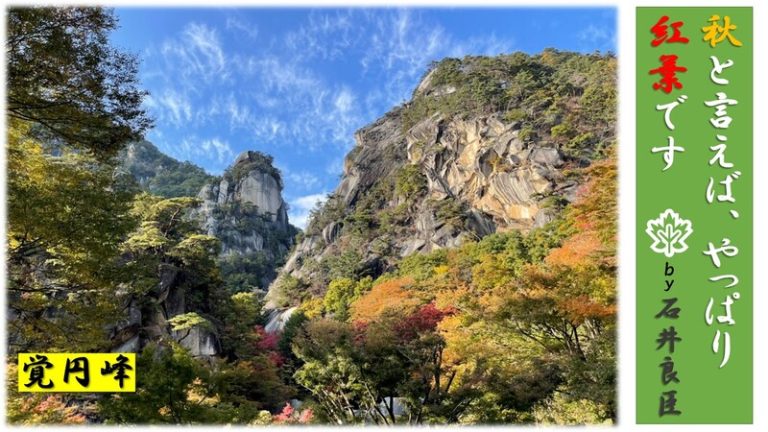 [東静岡店] 秋は、やっぱり紅葉ですよね〜(^^)