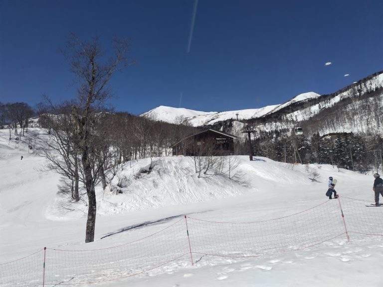 またまた登場ラーメン特集！！
