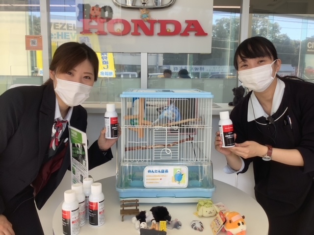 [柿田川店] 光のパワー！