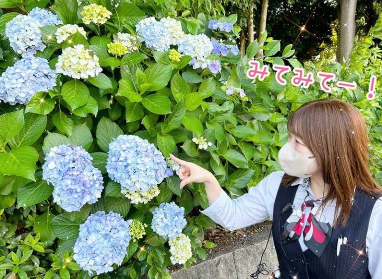 [富士永田店] ほのぼのブログ🌱
