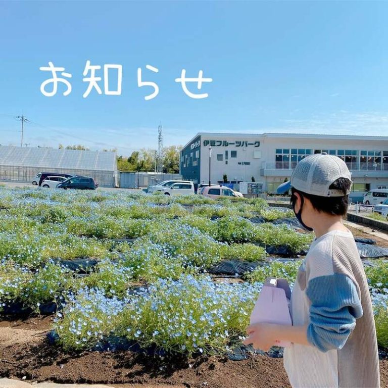[富士永田店] GW ✽ 感謝祭