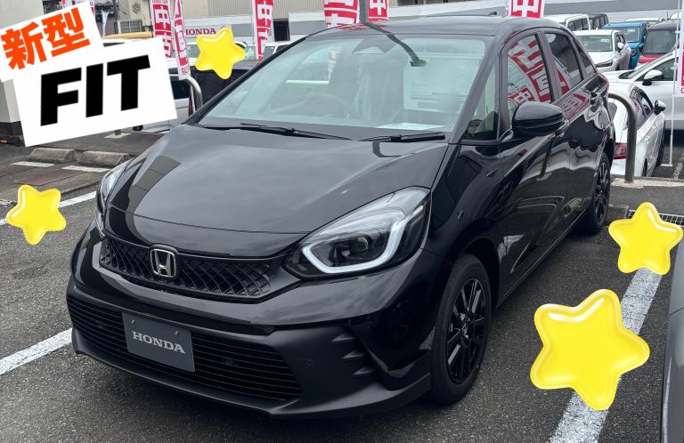 新型ＦＩＴ🩵