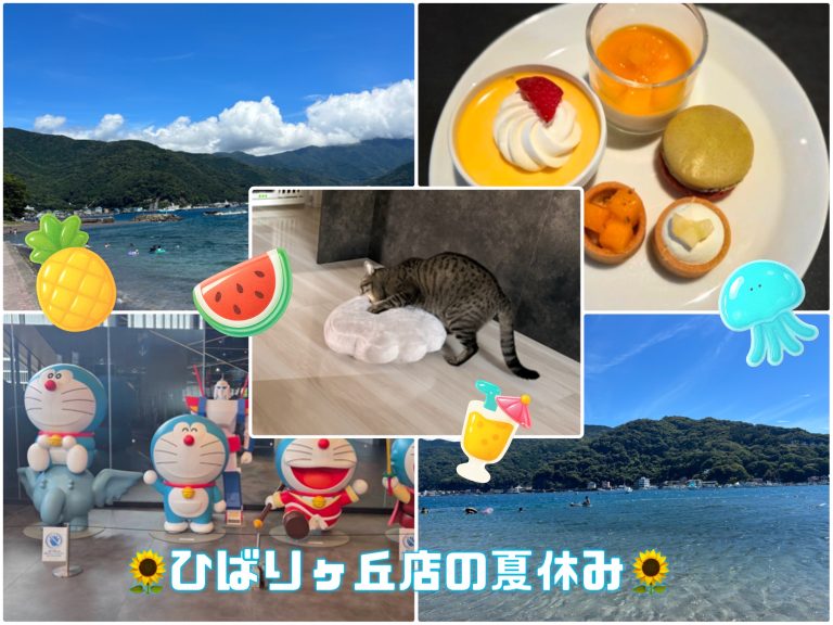 ひばりの夏休み🩴