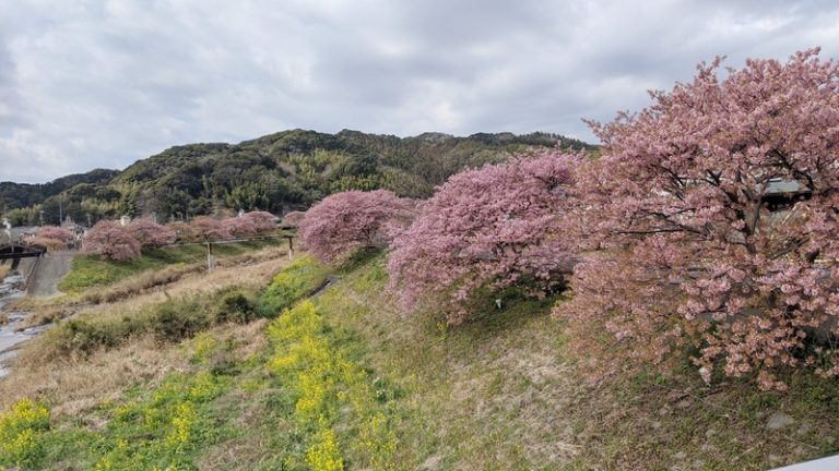 [富士宮ひばりが丘店] ☆春☆