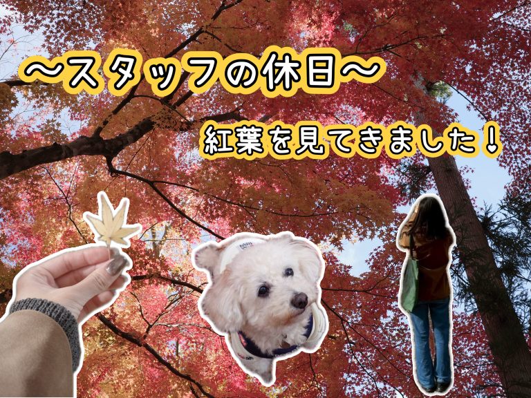 スタッフの休日～秋編～