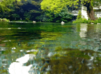[伊豆大仁店] まだギリ夏