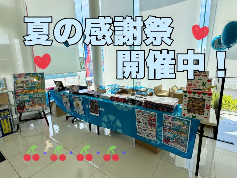 感謝祭開催中◝✩