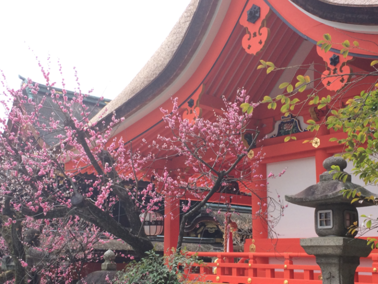 [沼津西店] ☆春到来☆